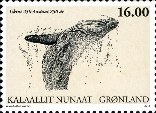 Humpback Whale (Megaptera novaeangliae)