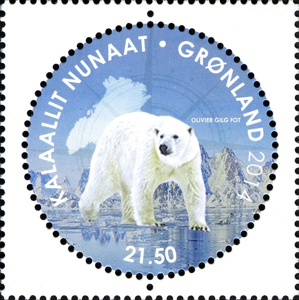 Polar Bear (Ursus maritimus)