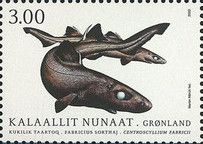 Black Dogfish (Centroscyllium fabricii)