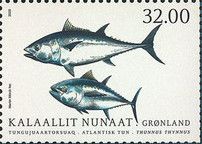 Atlantic Bluefin Tuna (Thunnus thynnus)