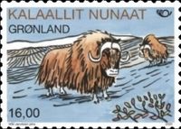 Musk Ox (Ovibos moschatus)