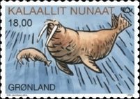 Walrus (Odobenus rosmarus)