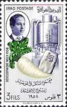 Sugar refinery, sugar beet, sugar bag