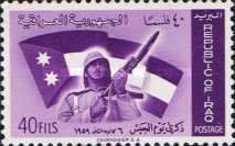 Soldier in front of country flag