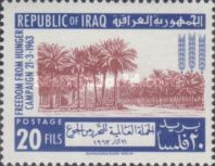 Date palms