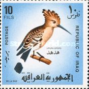 Eurasian Hoopoe (Upupa epops)