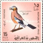 Eurasian Jay (Garrulus glandarius)