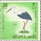 White Stork (Ciconia ciconia)