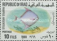 Silver Pomfret (Pampus argenteus)
