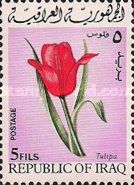 Tulip