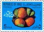 Grapefruit
