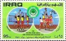 Volleyball and basketball