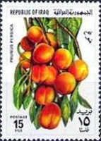 Peaches (prunus persica)