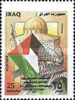Masked street fighter, flag of Palestine