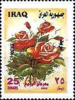 Roses