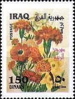 Carnations, poppies, daffodils