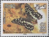 Citrus Swallowtail (Papilio demodocus)