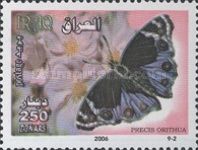 Blue Pansy (Precis orithya)