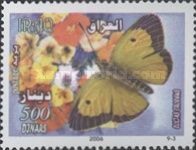 Clouded Yellow (Colias croceus)