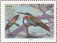 Blue-cheeked Bee-eater (Merops superciliosus)