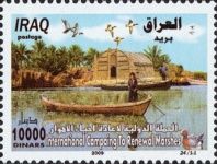 Flooded marshes