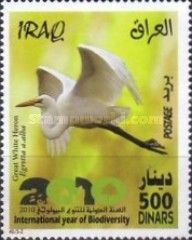 Great White Egret (Ardea alba)