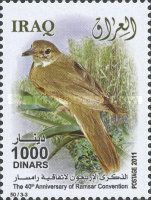 Basra Reed-warbler (Acrocephalus griseldis)