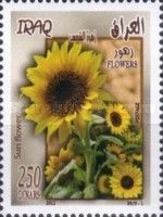 Sun flowers