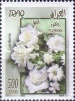 Gardenia