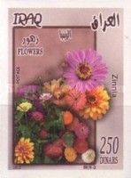 Zinnia