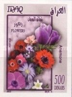 Anemone