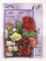 Roses
