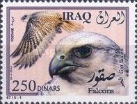 Gyrfalcon (Falco rusticolus)