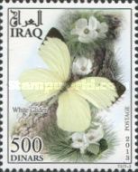 White Glider (Ascia buniae)