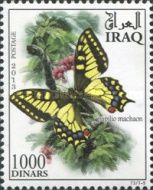 Old World Swallowtail (Papilio machaon)