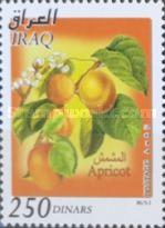 Apricots