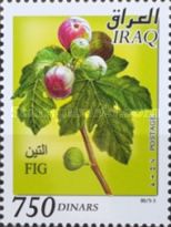 Figs