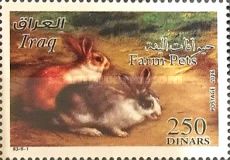 Rabbit