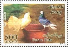 Pigeons