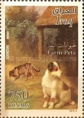 Cats and dogs
