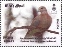 Dove