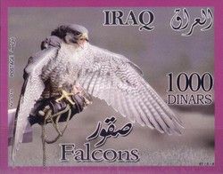 Falcons