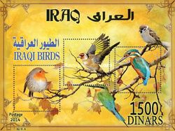 Birds of Iraq