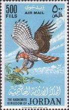 Ornate Hawk-Eagle (Spizaetus ornatus)