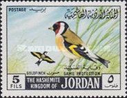 European Goldfinch (Carduelis carduelis)