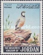 Chukar Partridge (Alectoris chukar)