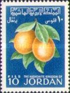 Citrus sinensis