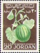 Cucumis melo