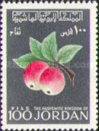 Malus sylvestris