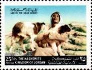 Shepherd, Sheep (Ovis ammon aries) 